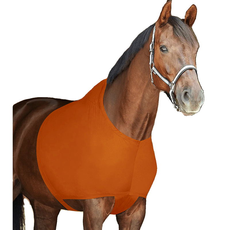 Ratsutamistarvete tootja hulgimüük. Hobuste õlapadjad, kaelapadjad, hobusevestid, elastsed hõõrdumisest tingitud kahjustuste vältimiseks, piiriülene müük.