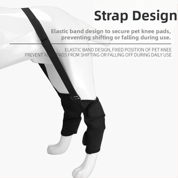 Amazoni uus lemmikloomade põlveliigese katte luumurdude fikseerimise kate vigastatud koerale, reisiabivahend jalakaitsmega, lakkumisvastane jalakate
