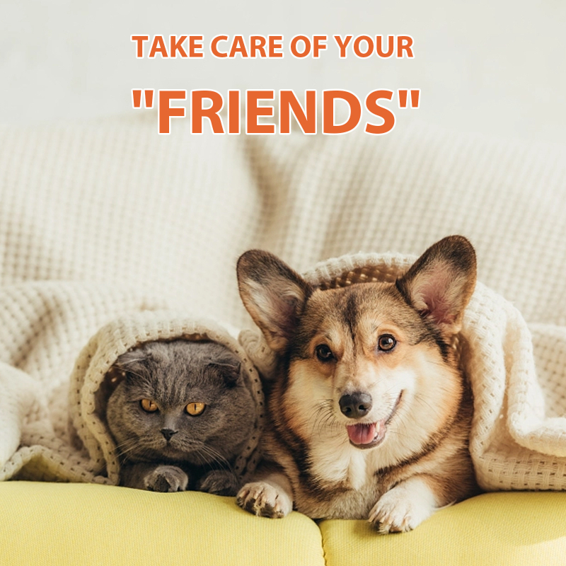 Yegbong lemmikloomade käpakaitsekreem lemmikloomade kassidele ja koertele, niisutav ja kuivamisvastane jalgade kaitsepadi, käpakaitsekreem