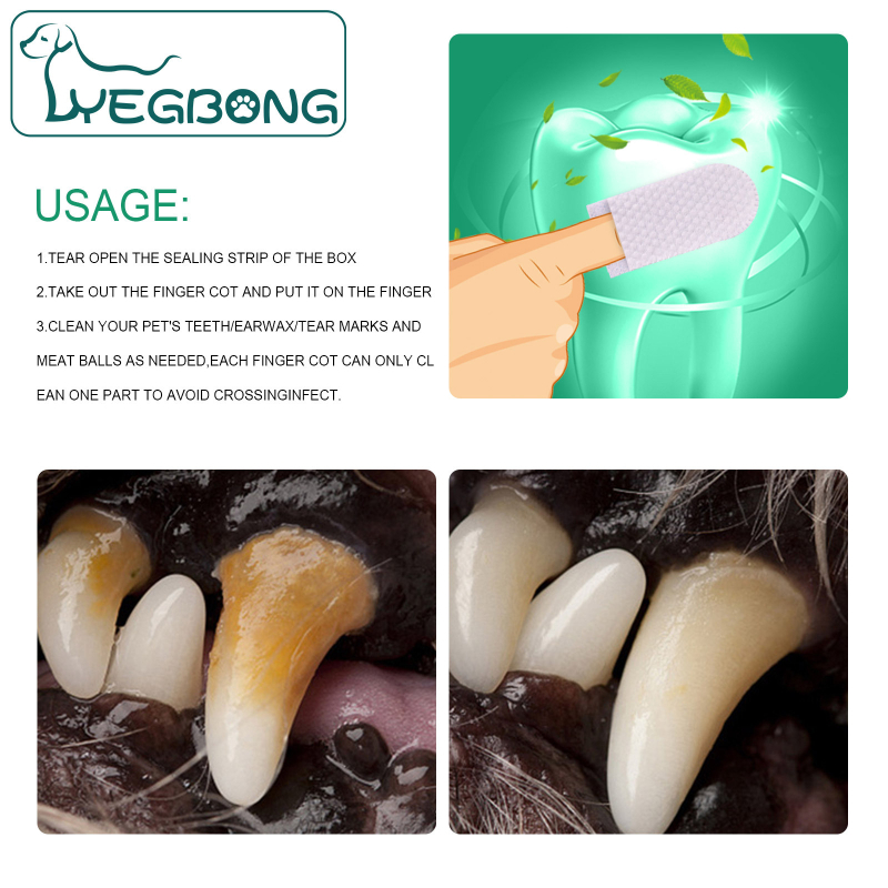 Καθαρισμός κατοικίδιων Yegbong, καθαρισμός δοντιών, δακτύλων, καθαρισμού σκύλων και γατών, στοματικού καθαρισμού, πέτρας και πέτρας