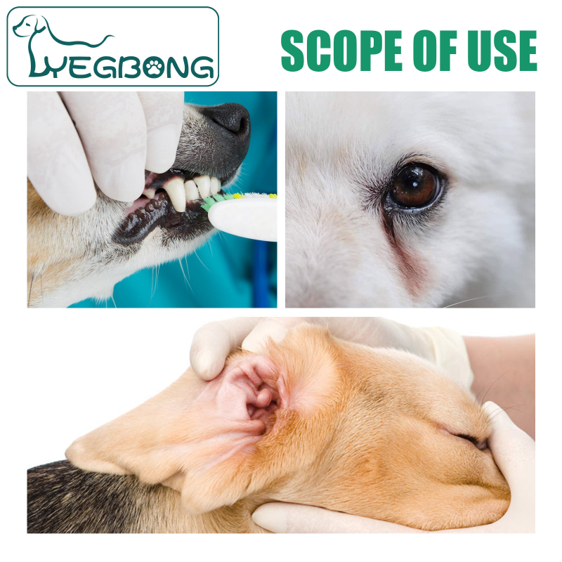 Καθαρισμός κατοικίδιων Yegbong, καθαρισμός δοντιών, δακτύλων, καθαρισμού σκύλων και γατών, στοματικού καθαρισμού, πέτρας και πέτρας