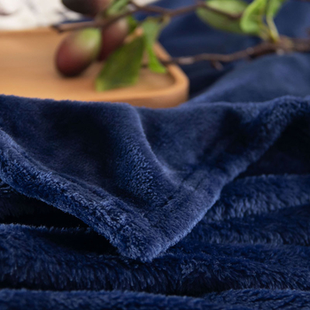 Kevadine, suvine, sügisene ja talvine paksendatud flanelltekk 300g tekk kahepoolne korallfliisist voodipesu lina uinakutekk kinketekk