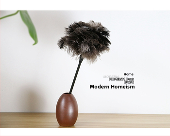 Jaanalinnu sulgedest tolmuhari ei aja karvu majapidamises kasutatava auto paksendava krüpteerimise puhastamiseks majapidamises kasutatava elektrostaatilise adsorptsiooni sulgedest tolmuhari