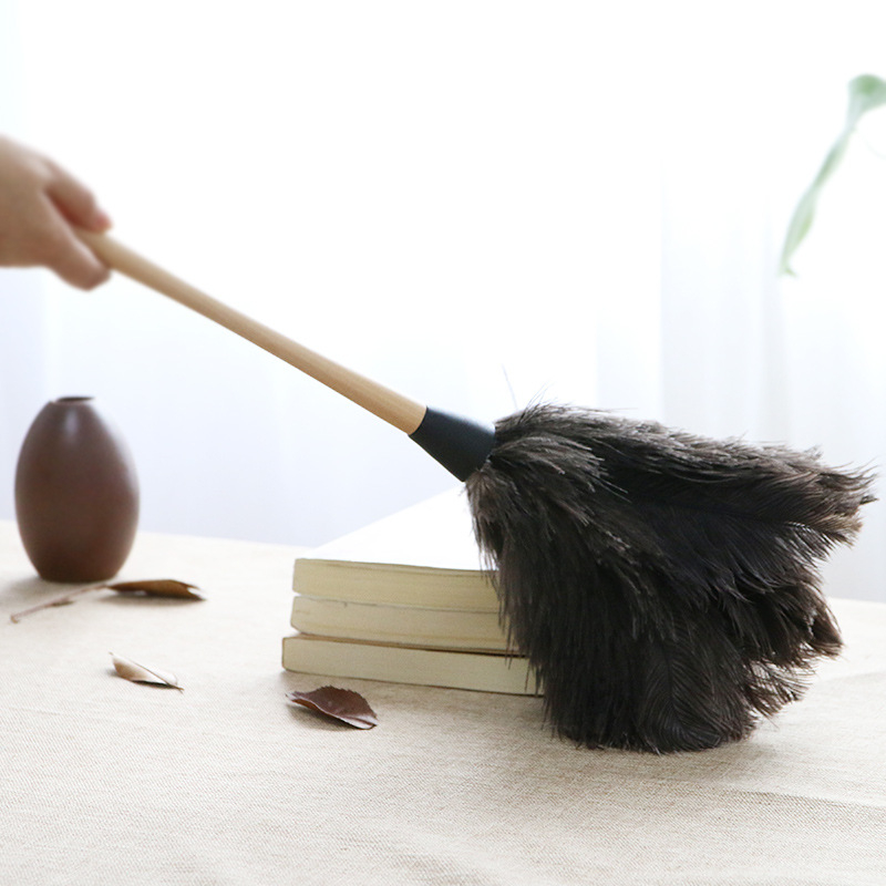 Jaanalinnu sulgedest tolmuhari ei aja karvu majapidamises kasutatava auto paksendava krüpteerimise puhastamiseks majapidamises kasutatava elektrostaatilise adsorptsiooni sulgedest tolmuhari