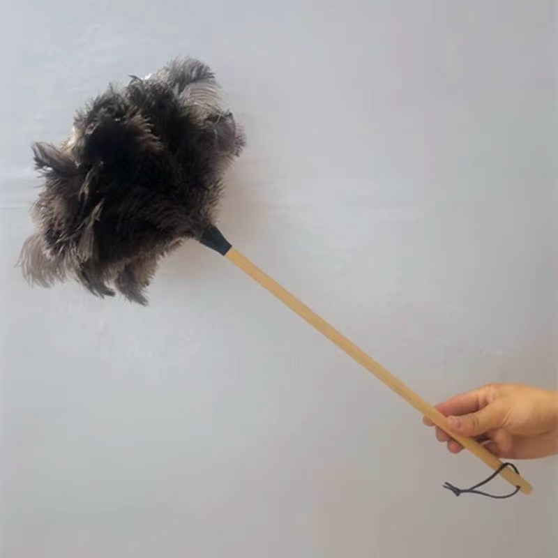 Jaanalinnu sulgedest tolmuhari ei aja karvu majapidamises kasutatava auto paksendava krüpteerimise puhastamiseks majapidamises kasutatava elektrostaatilise adsorptsiooni sulgedest tolmuhari