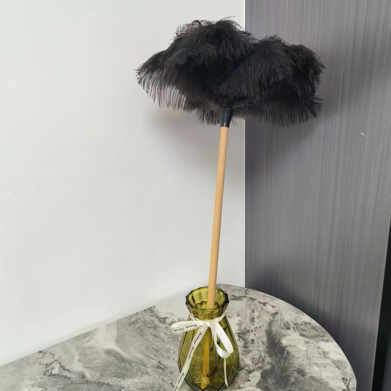 Jaanalinnu sulgedest tolmuhari ei aja karvu majapidamises kasutatava auto paksendava krüpteerimise puhastamiseks majapidamises kasutatava elektrostaatilise adsorptsiooni sulgedest tolmuhari