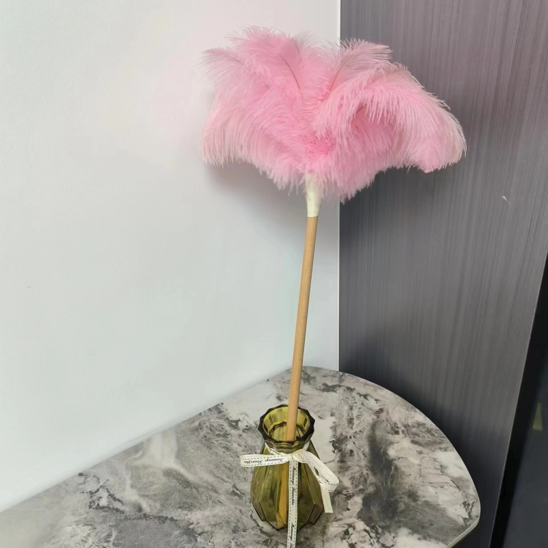 Jaanalinnu sulgedest tolmuhari ei aja karvu majapidamises kasutatava auto paksendava krüpteerimise puhastamiseks majapidamises kasutatava elektrostaatilise adsorptsiooni sulgedest tolmuhari