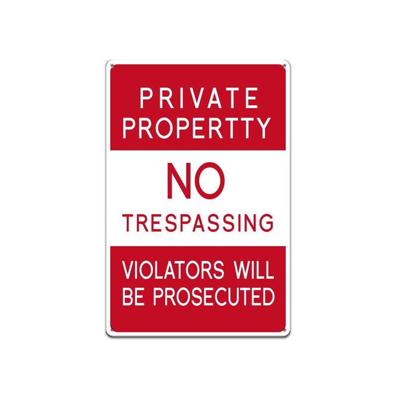 Uus vintage plekk-maalipüstoli kaunistus seinamaaling, kombineeritud kaamera jälgimise seinamaaling, plekk-plaadist raamita rippuv maal