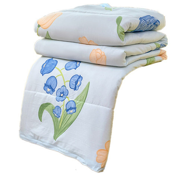 Tehase otsene 2024. aasta uus A-klassi pestud pilvepuuvillast suvine uba suvine jahe konditsioneeriga tekk lastele õpilaste voodipesu