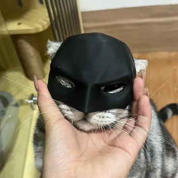 Katės augintinio kaukė su Betmeno dekoracijomis, be ventiliatoriaus, katės šalmo, graži