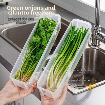 Úložný box na koriander a šalotku, chladnička, konzervácia koreňa koriandra, artefakt zahustené rezance, konzervácia vajec a zeleniny, zapečatená krabica