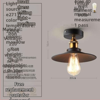Ameerika industriaalses stiilis loft-tüüpi maalähedased retrolambid esiku vahekäigu lamp söögitoa magamistoa koridori ühe peaga laelamp