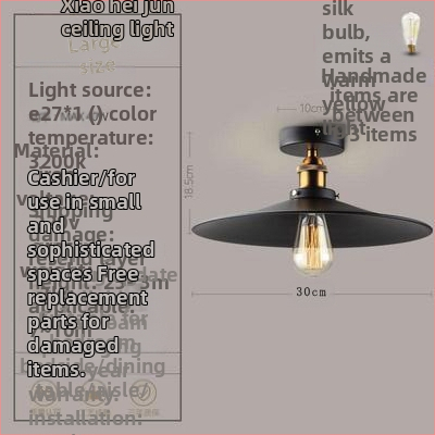 Ameerika industriaalses stiilis loft-tüüpi maalähedased retrolambid esiku vahekäigu lamp söögitoa magamistoa koridori ühe peaga laelamp