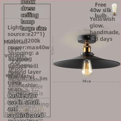 Ameerika industriaalses stiilis loft-tüüpi maalähedased retrolambid esiku vahekäigu lamp söögitoa magamistoa koridori ühe peaga laelamp