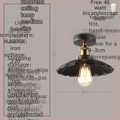 Ameerika industriaalses stiilis loft-tüüpi maalähedased retrolambid esiku vahekäigu lamp söögitoa magamistoa koridori ühe peaga laelamp