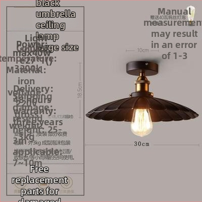 Ameerika industriaalses stiilis loft-tüüpi maalähedased retrolambid esiku vahekäigu lamp söögitoa magamistoa koridori ühe peaga laelamp