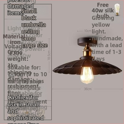 Ameerika industriaalses stiilis loft-tüüpi maalähedased retrolambid esiku vahekäigu lamp söögitoa magamistoa koridori ühe peaga laelamp