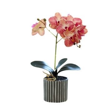 Dirbtiniai falenopsių orchidėjų bonsai, realistiški gėlių tiekėjai tiesiogiai iš gamintojo, namų dekoracijos, tiesioginis pristatymas, dirbtiniai vazoniniai augalai, dirbtinės gėlės