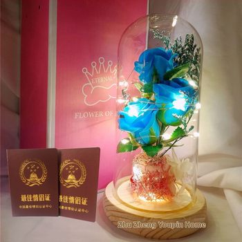 Γυάλινο κάλυμμα με φως, κουτί δώρου από γυψοφίλη σε σχήμα τριαντάφυλλου, δώρο για την κοπέλα σας για την ημέρα του Αγίου Βαλεντίνου, δώρο αποφοίτησης για τον καλύτερο φίλο και συμμαθητή σας Hongzhi