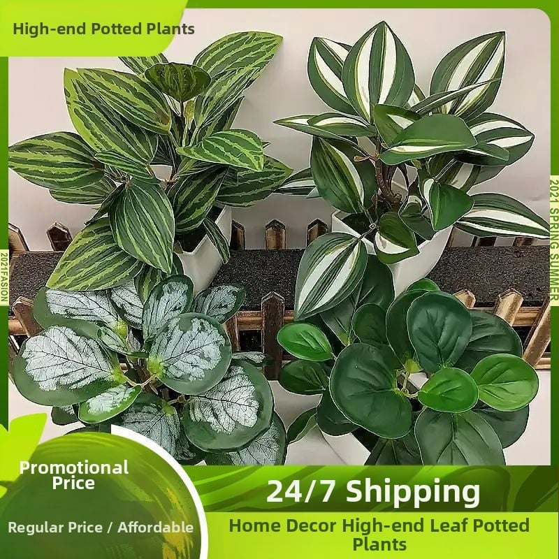 Széllevél cserepes növények, skandináv művirág cserepes növények, nappali dekoráció, éttermi asztaldekoráció