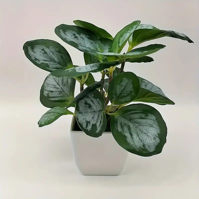 Széllevél cserepes növények, skandináv művirág cserepes növények, nappali dekoráció, éttermi asztaldekoráció