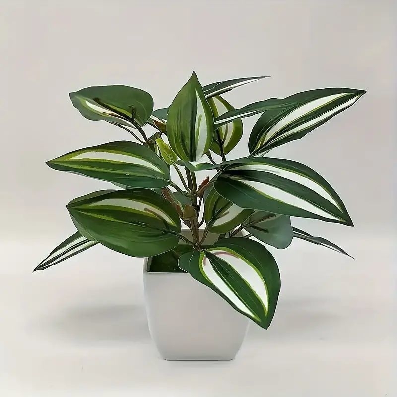 Széllevél cserepes növények, skandináv művirág cserepes növények, nappali dekoráció, éttermi asztaldekoráció