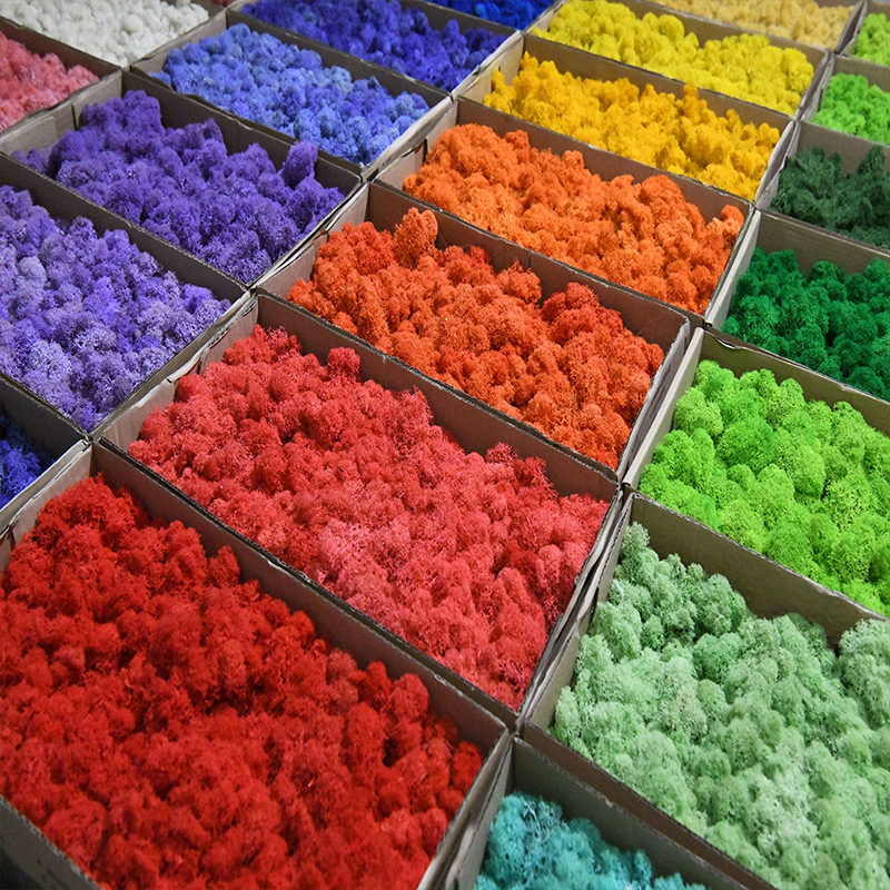 Nemirtingos samanos, dėžutėje sudėtos samanų augalų sienos apželdinimas, samanų vitrinos interjero dekoracijos, mikropeizažas, amžina gėlė, samanos