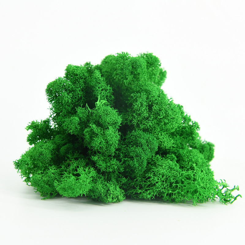 Nemirtingos samanos, dėžutėje sudėtos samanų augalų sienos apželdinimas, samanų vitrinos interjero dekoracijos, mikropeizažas, amžina gėlė, samanos