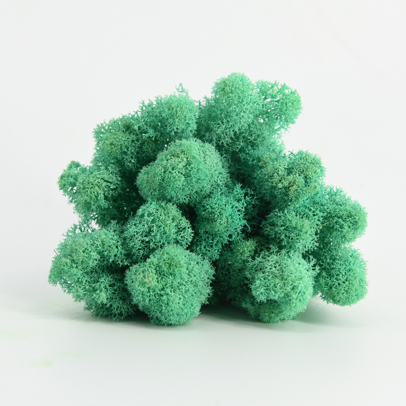 Nemirtingos samanos, dėžutėje sudėtos samanų augalų sienos apželdinimas, samanų vitrinos interjero dekoracijos, mikropeizažas, amžina gėlė, samanos