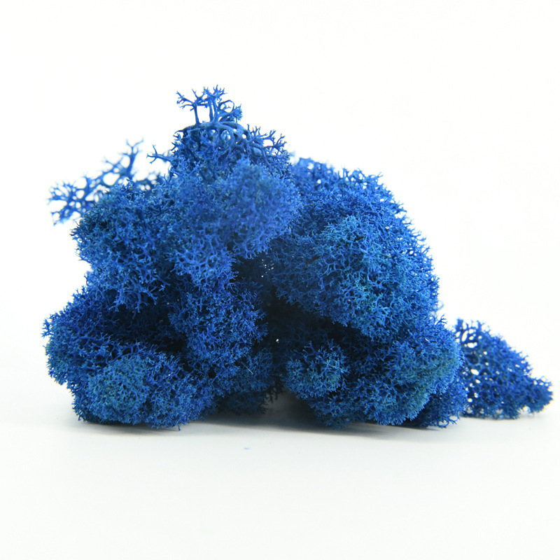 Nemirtingos samanos, dėžutėje sudėtos samanų augalų sienos apželdinimas, samanų vitrinos interjero dekoracijos, mikropeizažas, amžina gėlė, samanos