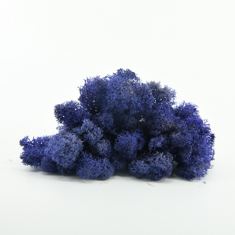 Nemirtingos samanos, dėžutėje sudėtos samanų augalų sienos apželdinimas, samanų vitrinos interjero dekoracijos, mikropeizažas, amžina gėlė, samanos