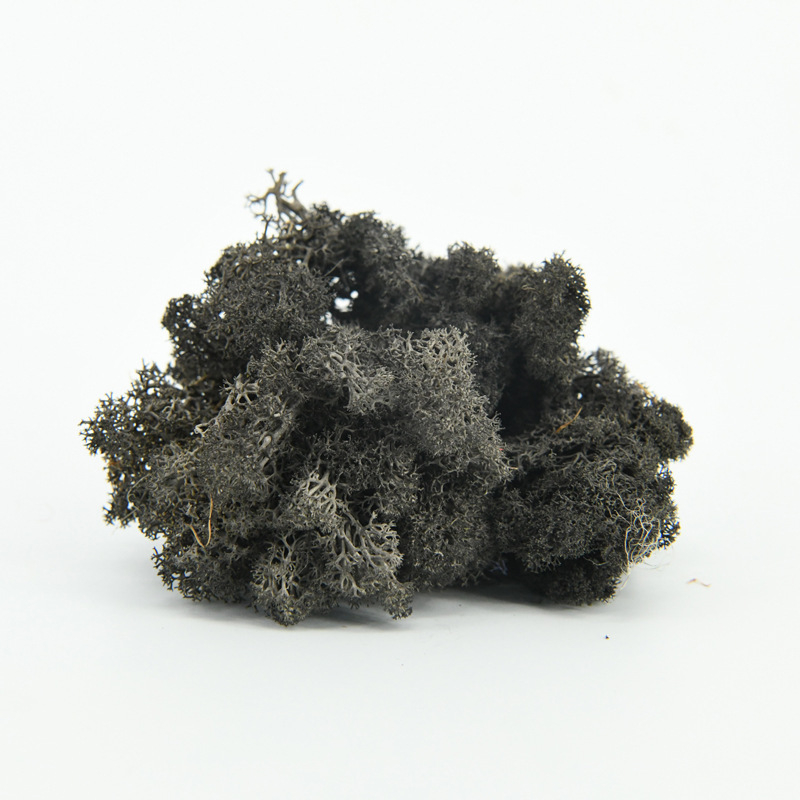 Nemirtingos samanos, dėžutėje sudėtos samanų augalų sienos apželdinimas, samanų vitrinos interjero dekoracijos, mikropeizažas, amžina gėlė, samanos