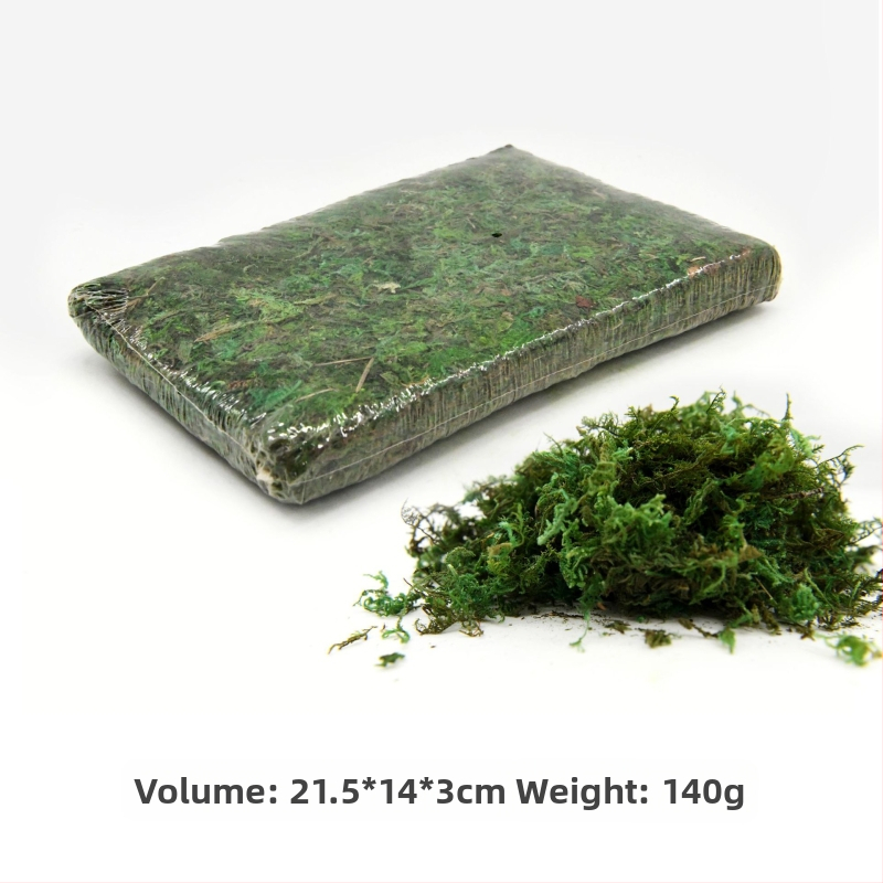 Nemirtingos samanos, dėžutėje sudėtos samanų augalų sienos apželdinimas, samanų vitrinos interjero dekoracijos, mikropeizažas, amžina gėlė, samanos