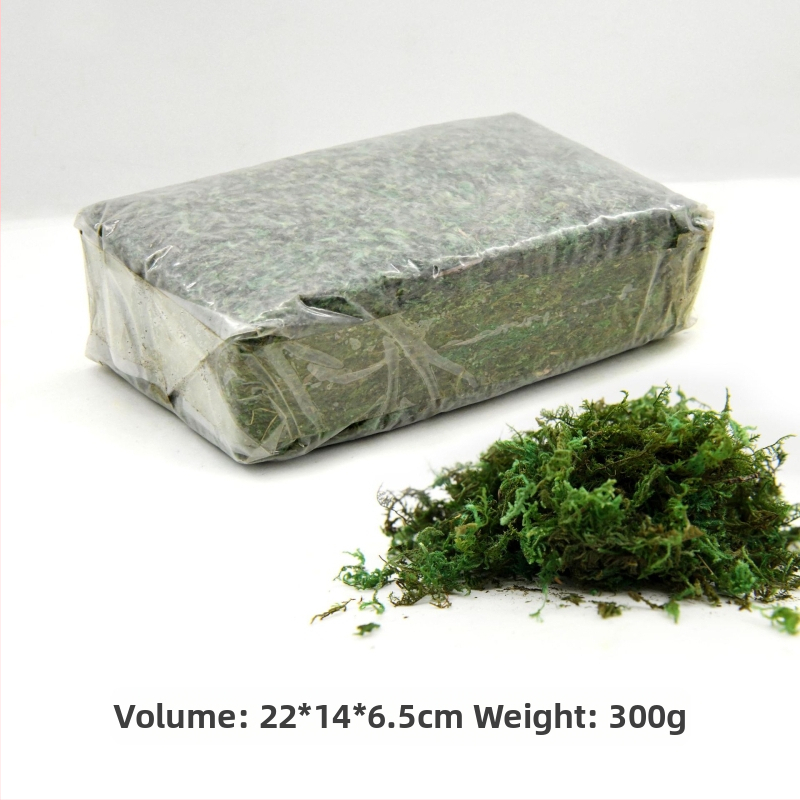 Nemirtingos samanos, dėžutėje sudėtos samanų augalų sienos apželdinimas, samanų vitrinos interjero dekoracijos, mikropeizažas, amžina gėlė, samanos