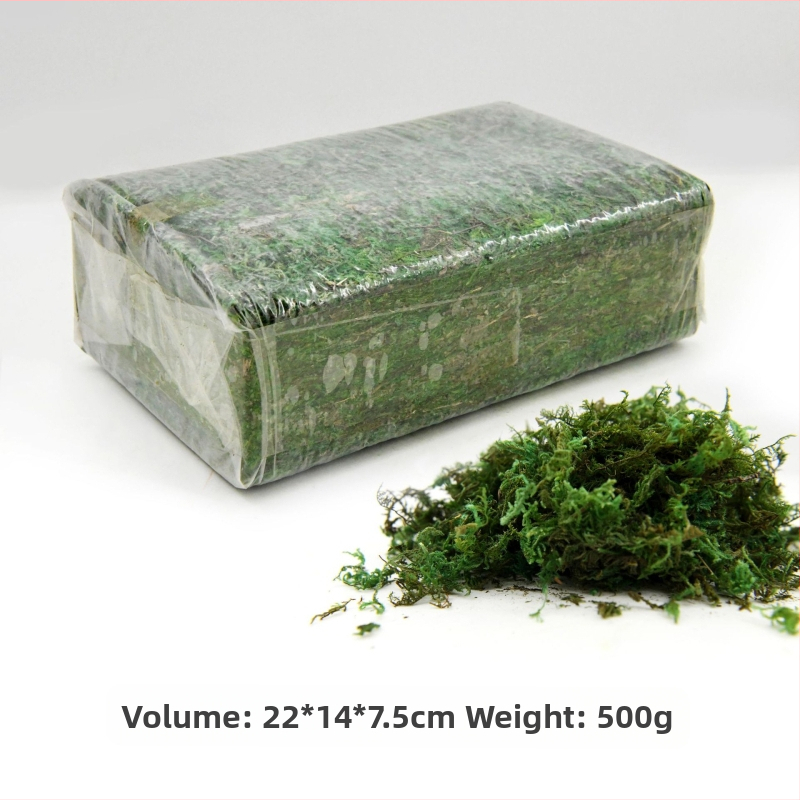 Nemirtingos samanos, dėžutėje sudėtos samanų augalų sienos apželdinimas, samanų vitrinos interjero dekoracijos, mikropeizažas, amžina gėlė, samanos