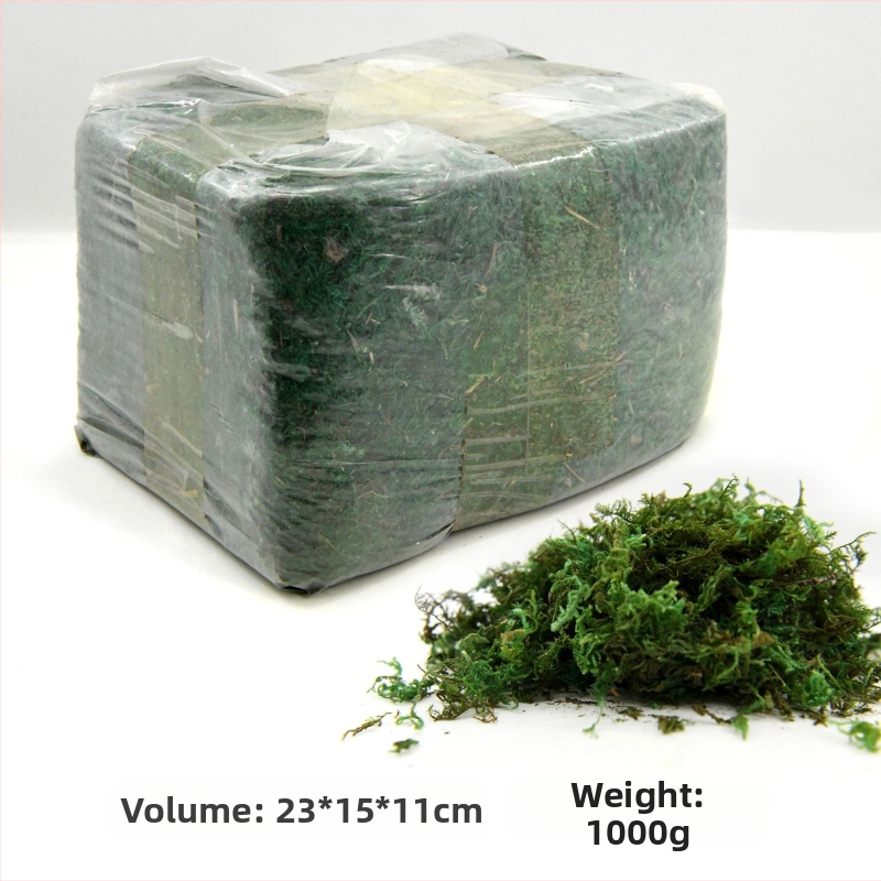 Nemirtingos samanos, dėžutėje sudėtos samanų augalų sienos apželdinimas, samanų vitrinos interjero dekoracijos, mikropeizažas, amžina gėlė, samanos