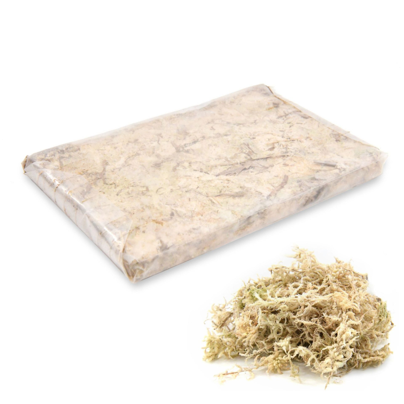 Nemirtingos samanos, dėžutėje sudėtos samanų augalų sienos apželdinimas, samanų vitrinos interjero dekoracijos, mikropeizažas, amžina gėlė, samanos