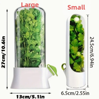 Tarpvalstybinė „Amazon“ vanilės konservavimo dėžutė, daržovių konservavimo dėžutė, apsauganti nuo sutraiškymo, kūrybinga kalendros konservavimo laikymo taurė