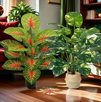 Zaļo augu kombinācijas simulācija, raibums, zaļa roze, sarkana sirds lapa, liels Ziemeļvalstu vēja augs, pods, mājas dekors, pārrobežu ekskluzīvs