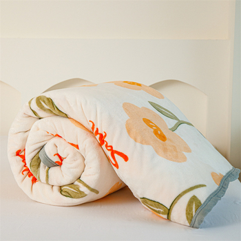 Debesų audinės vilnos antklodė, „Faleirong“ koralų vilnos, pieno vilnos antklodė, dengianti sofą, biuro bendrabučio snapų antklodė