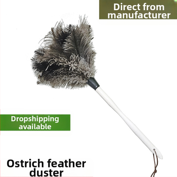 Stručio plunksnų šluostė dulkių šluostė plunksnų šluostė plunksnų šluostė su medžio masyvo rankena plunksnų šluostė valymo rekvizitai