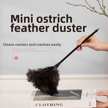 Stručio plunksnų šluostė dulkių šluostė plunksnų šluostė plunksnų šluostė su medžio masyvo rankena plunksnų šluostė valymo rekvizitai