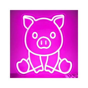 Tarpvalstybinės neoninės akrilinės plokštės šviečiančios raidės, atmosferos šviesa, kepsninės formos šviesa, LED šviesa, akrilinės šviečiančios raidės