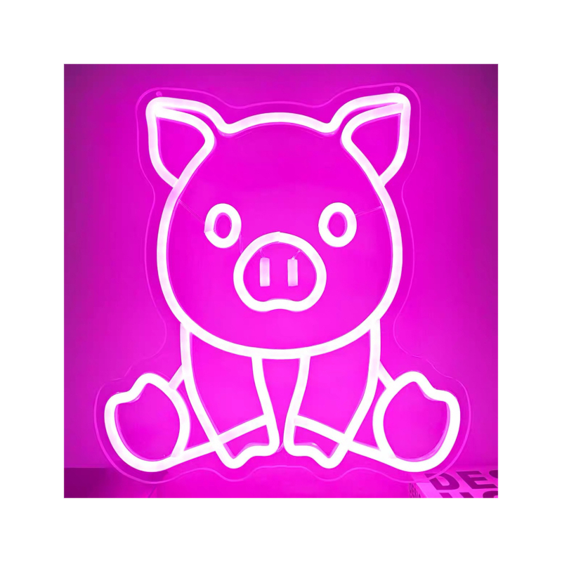 Tarpvalstybinės neoninės akrilinės plokštės šviečiančios raidės, atmosferos šviesa, kepsninės formos šviesa, LED šviesa, akrilinės šviečiančios raidės