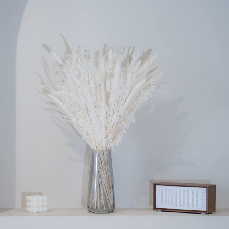 Junano džiovintų gėlių puokštė, džiovintos nendrės, dekoratyvinė triušio uodega, džiovintos gėlės, džiovintos nendrės, pūkuotas pandos gabalėlis, nendrės žolė, tarpvalstybinė didmeninė prekyba