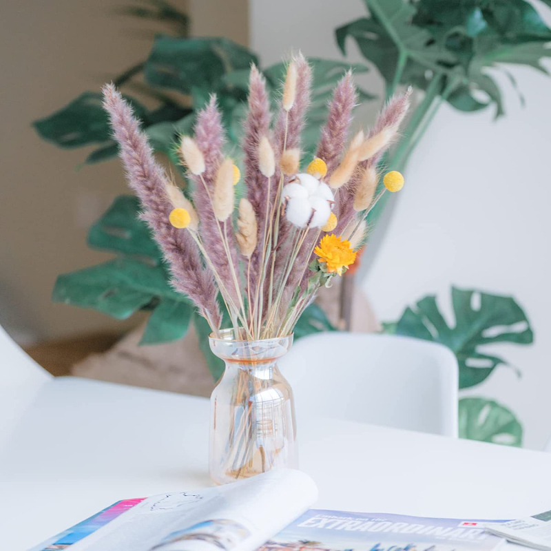 Junano džiovintų gėlių puokštė, džiovintos nendrės, dekoratyvinė triušio uodega, džiovintos gėlės, džiovintos nendrės, pūkuotas pandos gabalėlis, nendrės žolė, tarpvalstybinė didmeninė prekyba