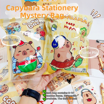 Kanceliarinės prekės Aklųjų maišelis Laimingas dovanų maišelis Pradinių klasių mokiniams Mokyklinės prekės Prizai Mokymo organizavimo dovanų kortelė Pibala dovana