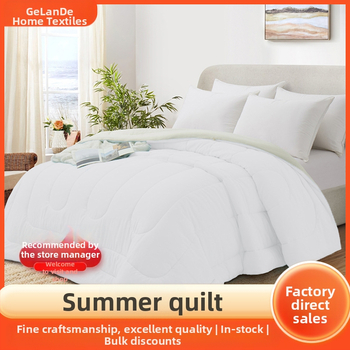 A klasės minkšta ir itin lengva ledo šilko vasarinė antklodė, vientisa spalva, su oro kondicionieriumi, skalbiama skalbimo mašinoje, pavasario ir rudens antklodė, vėsinanti buitinė antklodė