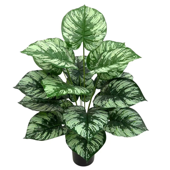 Pārrobežu karstā izpārdošana Ziemeļvalstu simulācija Zaļā stādīšanas koka pundurkociņš Bonsai augu ainavu displeja logs Iekštelpu mājas viesistabas dekorēšanai