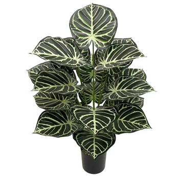 Pārrobežu karstā izpārdošana Ziemeļvalstu simulācija Zaļā stādīšanas koka pundurkociņš Bonsai augu ainavu displeja logs Iekštelpu mājas viesistabas dekorēšanai